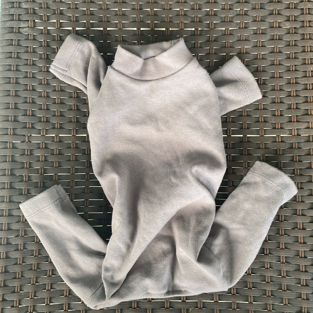 Small dog onesie